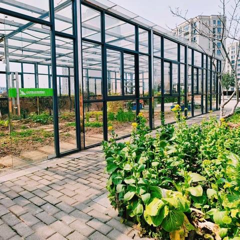 “绿色·生机农场”603班春种计划