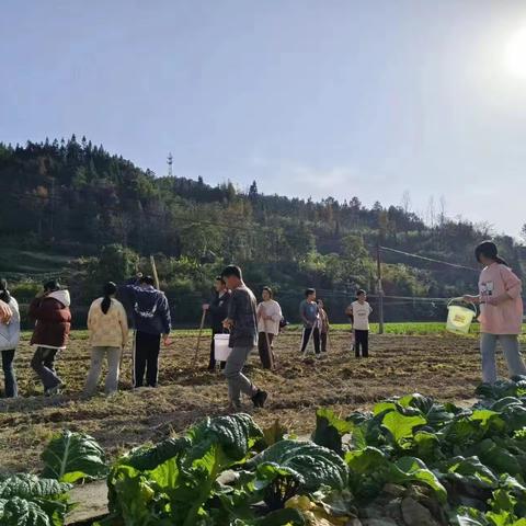 文明古国种地天赋 与时俱进饮水思源 ——新寨中学劳动教育进行时