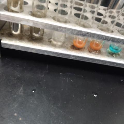 营养和生命化合物的性质