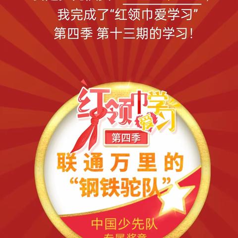 方城一小王卓“红领巾爱学习”完成获章记录