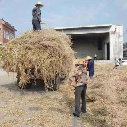 洛龙区龙门石窟街道:集中清运秸秆助推农村人居环境整治