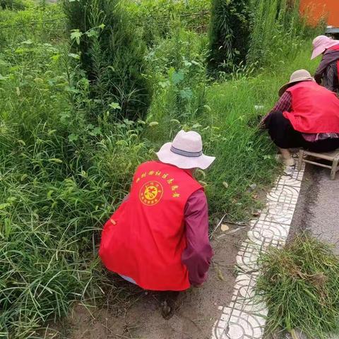 洛龙区龙门石窟街道:清除街边杂草  美化人居环境