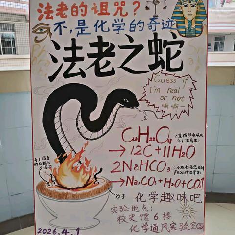 “法老之蛇，点燃奇趣” ——记都安高中化学趣味吧社团活动
