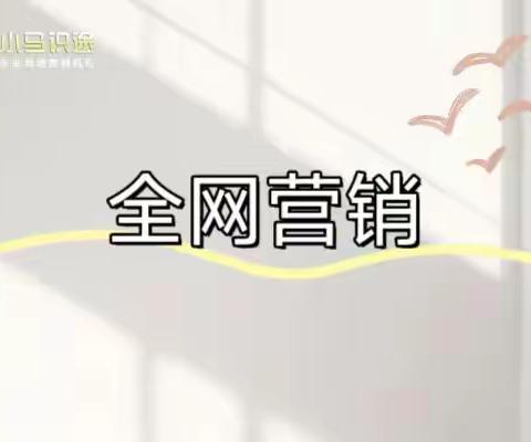 全网营销必知：四步落地打造精准营销闭环