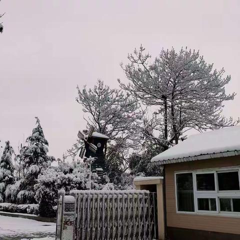 ❄“铲雪除冰暖人心，爱满校园现真情”❄