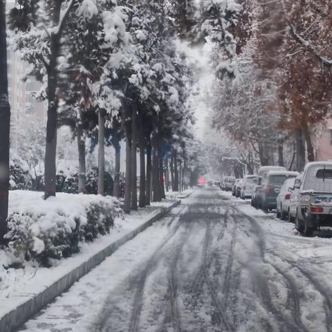 大雪纷飞迎新年，扫雪除冰保安全