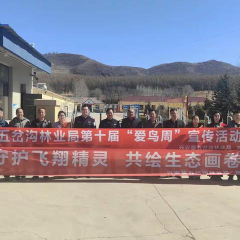 守护飞羽精灵 共绘生态画卷——五岔沟林业局举办第十届“爱鸟周”宣传活动