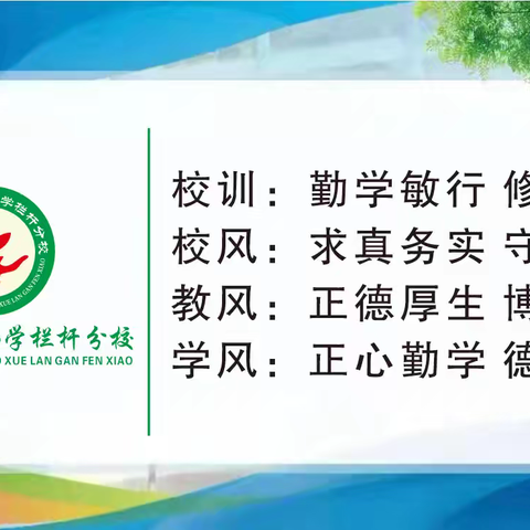 翰墨润书香 笔尖展芳华——行知学校914班语文书法比赛