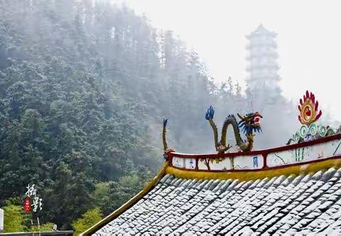 巧心串珠线  妙手盘纸花 ——残疾人也能做出精细活