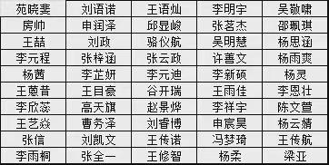 努力与智慧的结合 终将绽放灿烂的光芒———————数学之星记