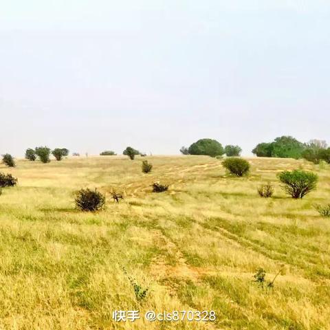 撒哈拉以南非洲：挑战与希望并存的土地