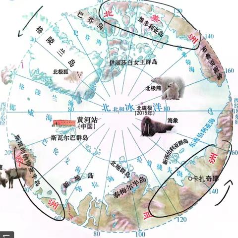 极地地区 八上地理6.5