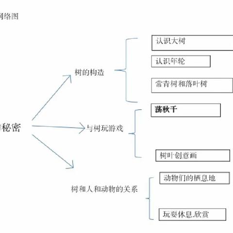 【·课程故事】树的秘密