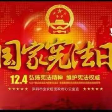 红领巾心向党  宪法伴我向未来——通伏中心学校12.4宪法日系列活动