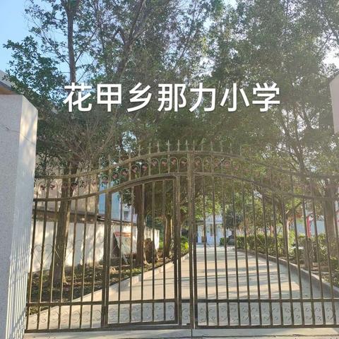 课后服务促成长，健康快乐过童年 那力小学课后服务成果展示