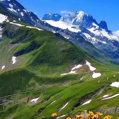 阅享自然读书会 《昆虫记》读书分享（四）