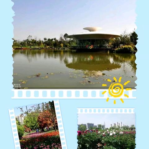 阅享自然读书会 《昆虫记》读书分享（六）