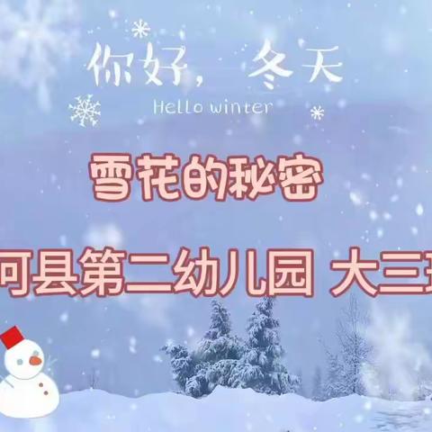 【云相约 动起来】师幼线上互动—— 科学活动《雪花的秘密》 (香河二幼大三班)