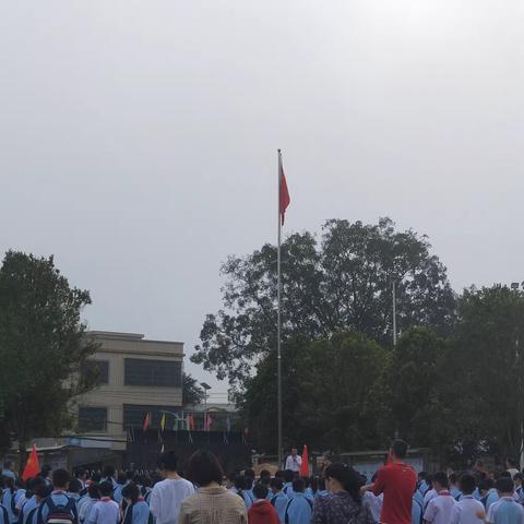 教有所得，研有所获——石山中心小学实习组