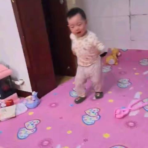 大宝妮二宝妮视频