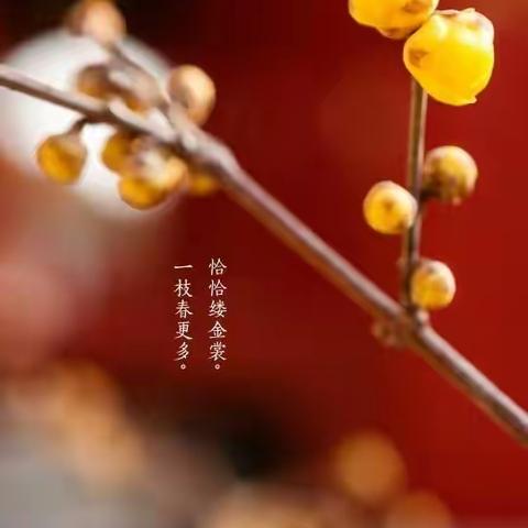 寻找身边的感动——长桥镇优秀教师事迹展播二十四（长桥小学张俊芳老师）