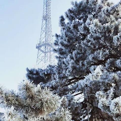 610台1班工作动态