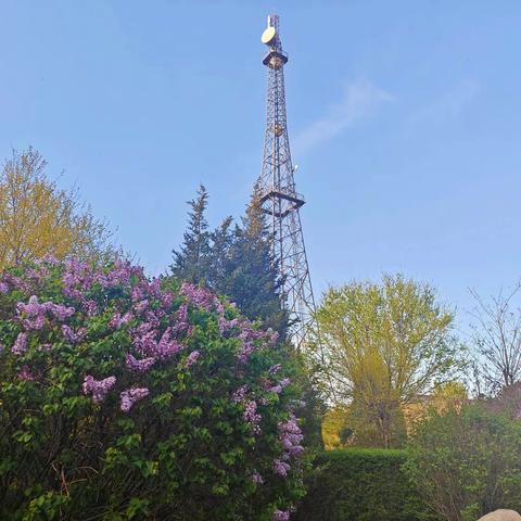 610台1班工作动态 （4月16日-19日）