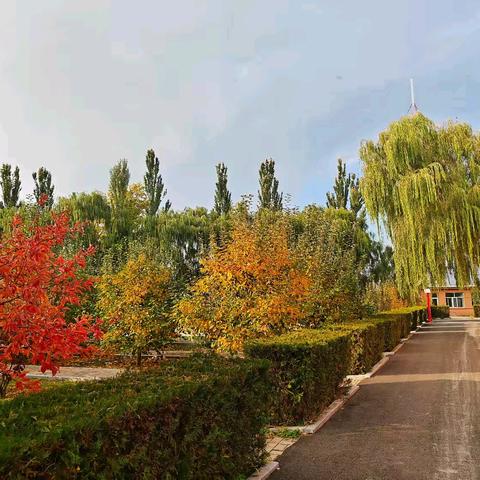 610台1班工作纪实 ﻿（10月11日-15日）