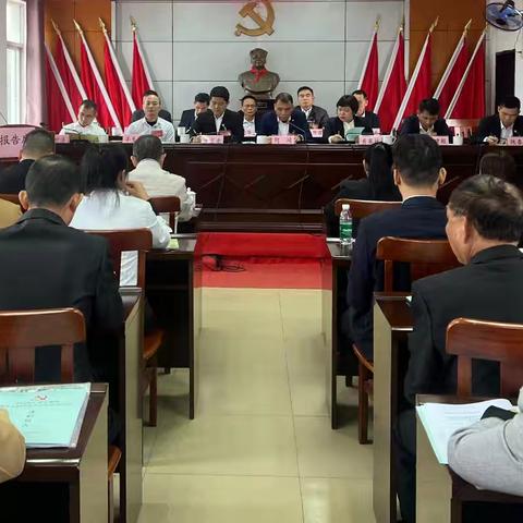 实干担当促发展，砥砺奋进新征程｜中国共产党大成镇第十七届代表大会第五次会议顺利召开