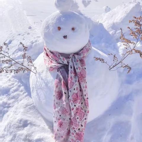 漫天飞雪，如诗如画，为寒冷的冬日增添了一抹温柔——马兰明德小学二（1）班活动纪实。