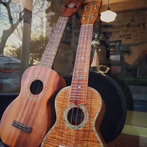 “椰岛琴话”——尤克里里社团 2024-2025学年第二学期