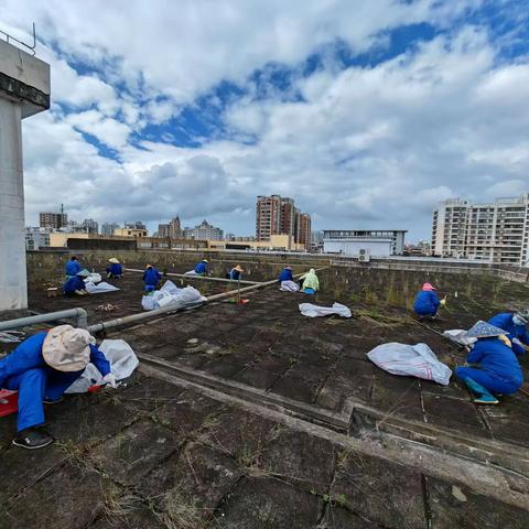 海垦物业三叶区域组织开展仓库顶楼除草活动