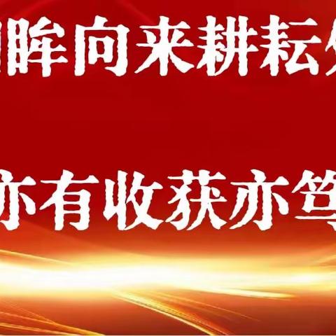 回眸向来耕耘处  亦有收获亦笃行——平罗县陶乐幼儿园教师个人成长汇报