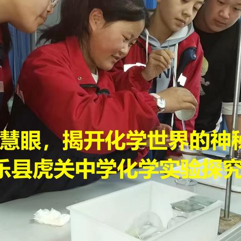 用一双双慧眼，揭开化学世界的神秘面纱——康乐县虎关中学化学实验探究活动