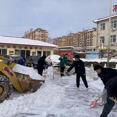 【窝洛沽镇】清雪保畅，确保安全——窝洛沽镇扫雪除冰活动正在进行中