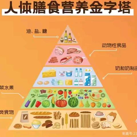 膳食有营养，生命更健康——平舆县第四初级中学一周食谱