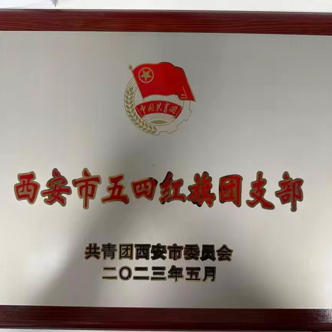 喜报！公租房公司团支部获得西安市五四红旗团支部