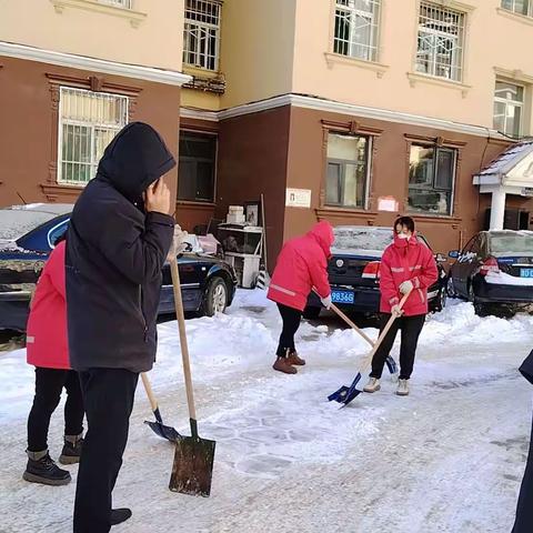 ✿— 🏡阳光物业-物业清雪篇🏡 —✿┄✨ 专项行动✨       🌸阳光物业工作分享🌸