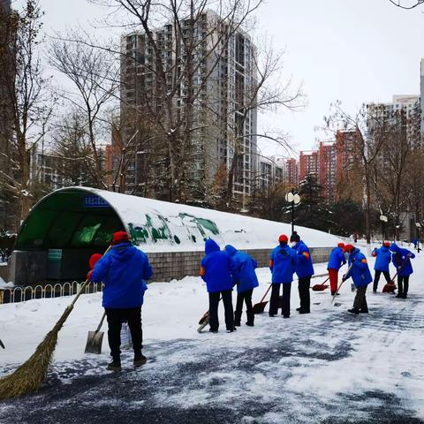 最美下雪天，最暖扫雪人