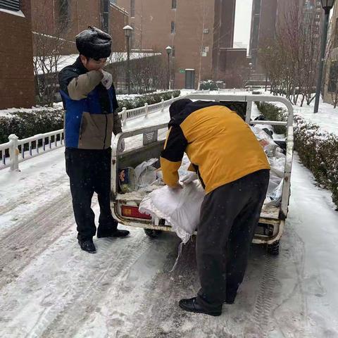 2023年12月份的雪天记录