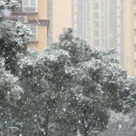 “沁园春·雪”之新城丽景篇