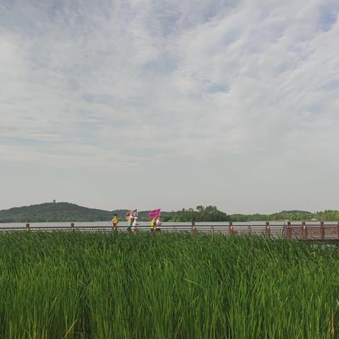五月——阅读