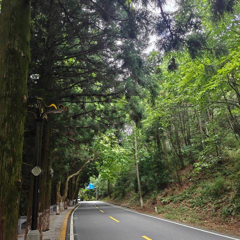八月——阅读