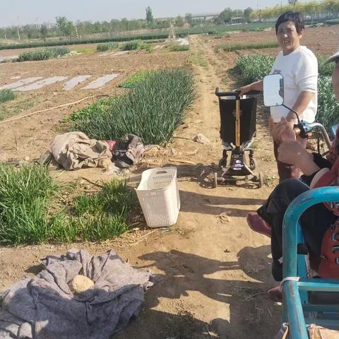 大高村开展禁种罂粟专项巡查行动