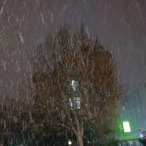 雪🌨️的时间