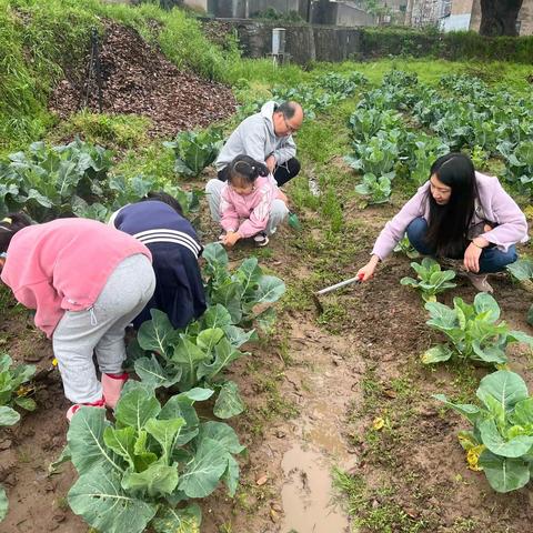 最美人间四月天——一起去感受田间劳动的快乐吧