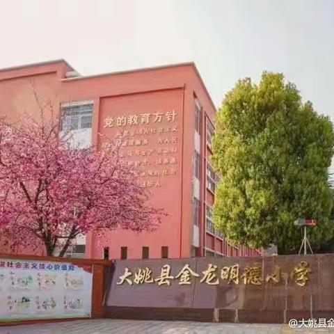 大姚县金龙明德小学2025年 州庆假期安全提醒