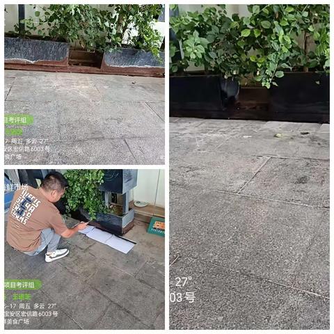 西南片区（新和社区） 周报 (5月17日)