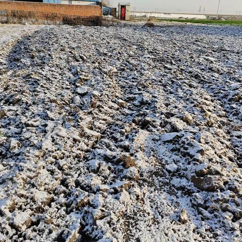 防范低温、雨雪天气安全教育致家长一封信