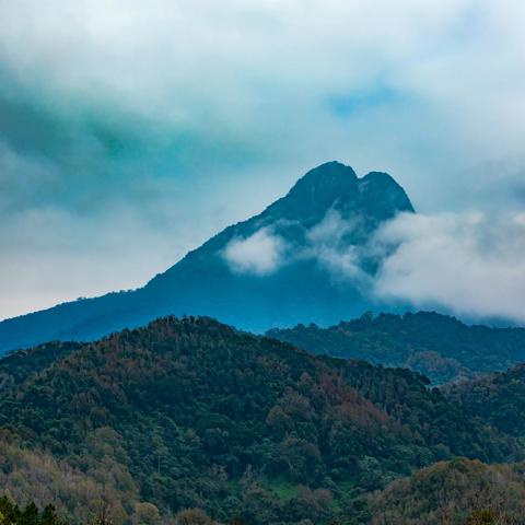 五指山水满河热带雨林